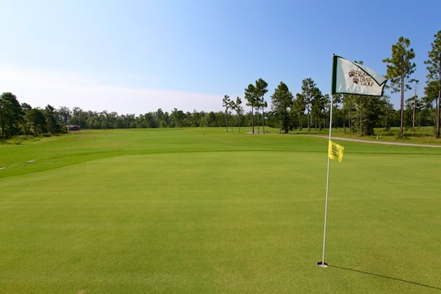mt-0292-course-gallery11.jpg